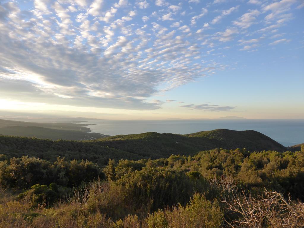 Arpaderba B&B Livorno Dış mekan fotoğraf